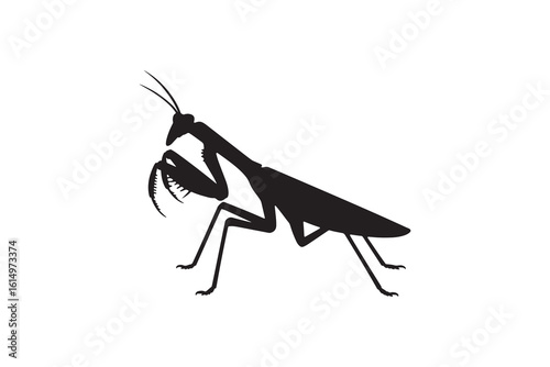 Praying Mantis Silhouette Vector Graphic