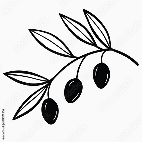 Simple hand drawn black and white illustration of an olive branch with three dark olives and elongated leaves on a white background