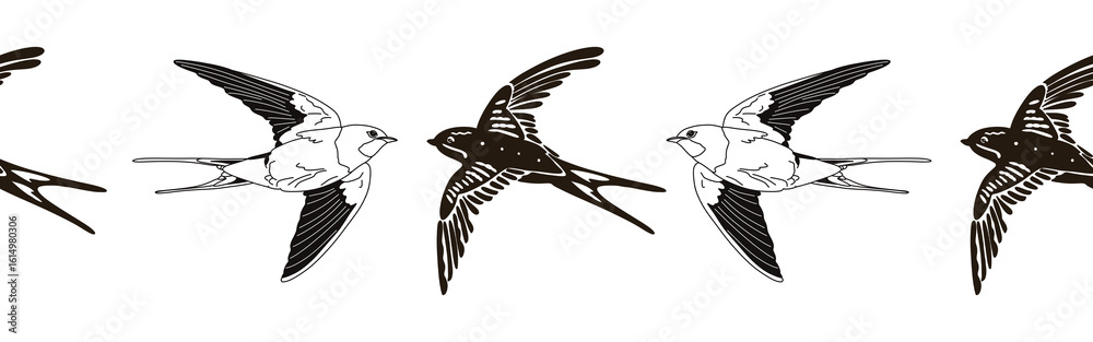 Fototapeta premium Border icon border. Bird feather silhouette symbol. Bird border isolated on white background