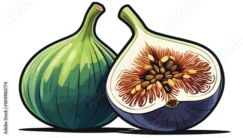 Vibrant illustration of two figs, one whole and one sliced, showcasing green skin and juicy interior with seeds. Perfect for food, nature, or health-themed designs.