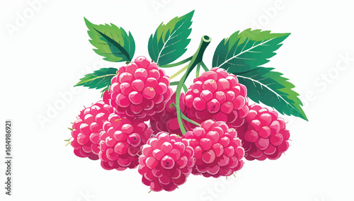 A vibrant vector illustration of a raspberry bunch with green leaves. Fresh, ripe, and juicy berries for healthy food and summer concepts. Isolated on white.
