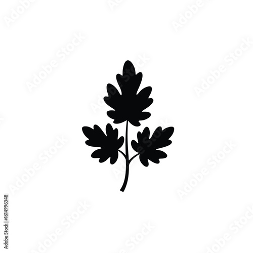 Photos Black silhouette of poison ivy leaves vector