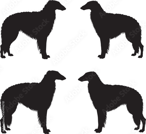 Four elegant borzoi dog silhouettes standing against white background