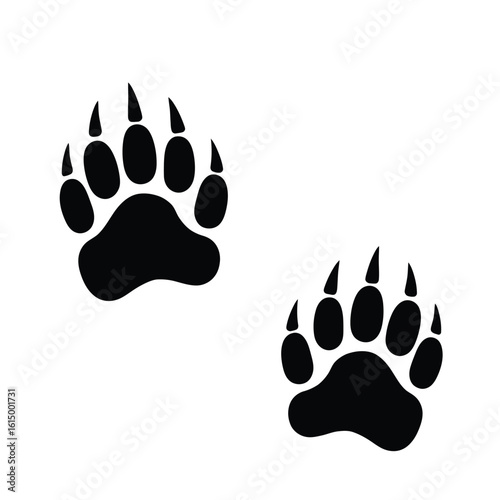 Black bear paw prints on white background track animal