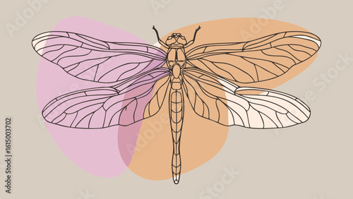 Intricate line art of a dragonfly with soft pastel backgrounds showcasing elegance and nature's beauty.