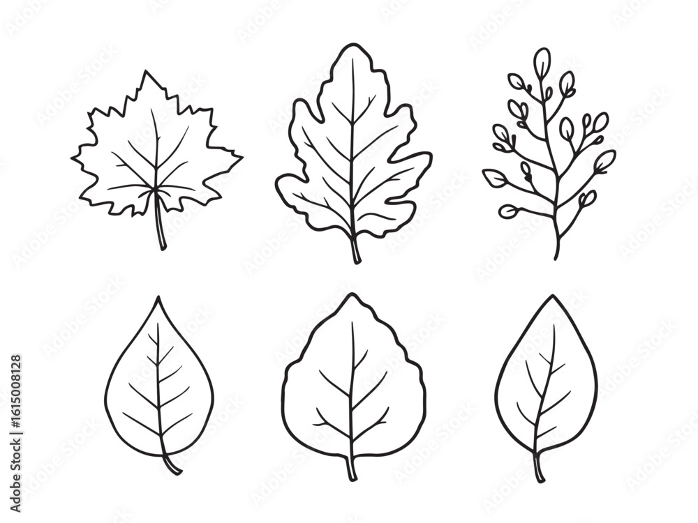 Fototapeta premium Green leaves bundle sketch style plant line illustration