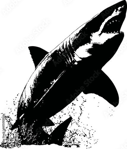 Dramatic Black And White Silhouette Of A Great White Shark Breaching The Water