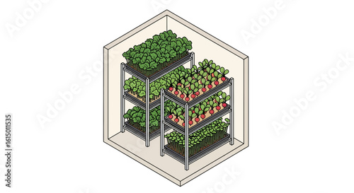 Indoor vertical farm with leafy greens and radishes