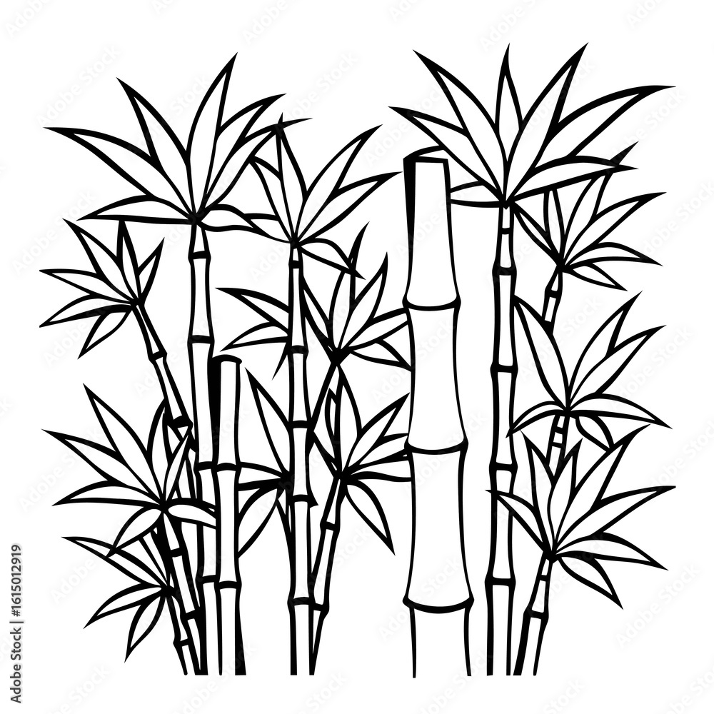 Obraz premium bamboo vector illustration