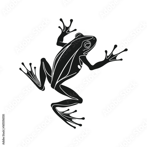 Black Frog Silhouette with Outstretched Limbs on White Background