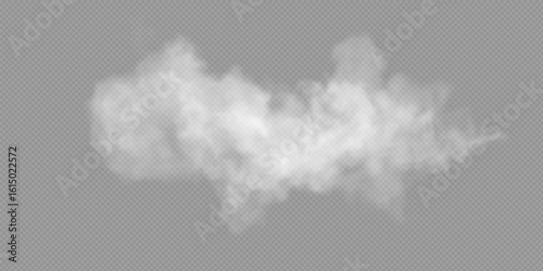 Fog or smoke isolated transparent special effect. White vector cloudiness, mist or smog background. Vector illustration