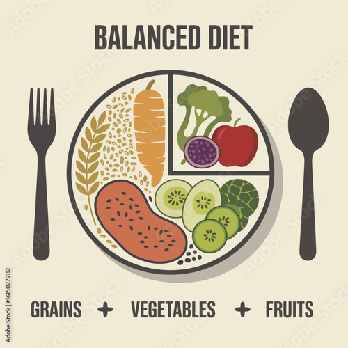 Vector art of vector illustration of balanced diet plate with grains, vegetables, and fruits for healthy eating and nutrition guidance