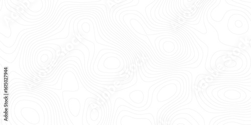 Vector cartography illustration. Topography and geography map grid abstract backdrop