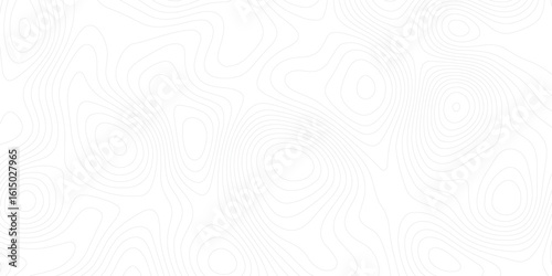 Vector cartography illustration. Topography and geography map grid abstract backdrop