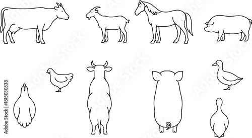 CAD drawings of farm animal outlines. Side and top view vector set