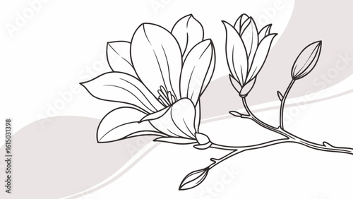 Elegant line drawing of a blooming magnolia flower branch set against a soft, abstract background.
