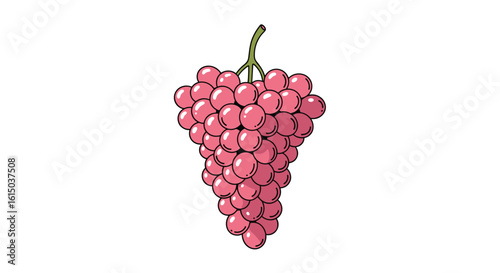 A healthy bunch of ripe red grapes hanging on a stem rich with vitamins and antioxidants perfect for juicing or eating fresh