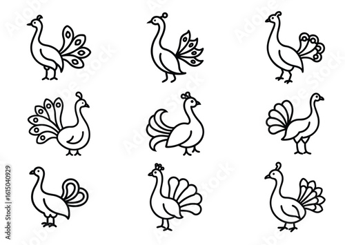 Elegant peacock line art Vector Set