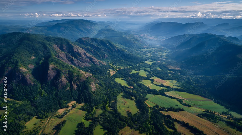 Fototapeta premium Aerial image of fields blanketing the lower regions of forested mountains .