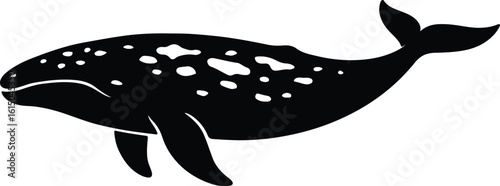 Silhouette humpback whale illustration marine animal vector illustrator