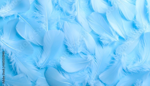 Wallpaper Mural Light blue feathers close-up Torontodigital.ca