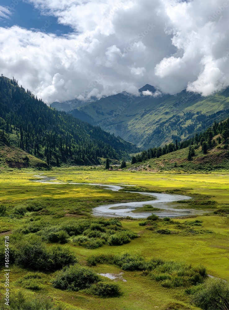 Fototapeta premium Lush valley with winding stream under a partly cloudy sky