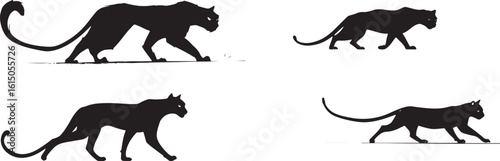 Wild Cat Silhouette Vector Collection

Big Cat Silhouettes – Tiger, Panther, Leopard Set

Walking Wild Cats Black Silhouette Design