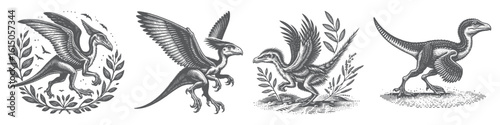 Vintage Hand-Drawn Velociraptor Collection Illustration, Prehistoric Predator Engraved Style Vector for T-Shirts and Dinosaur Themes Design