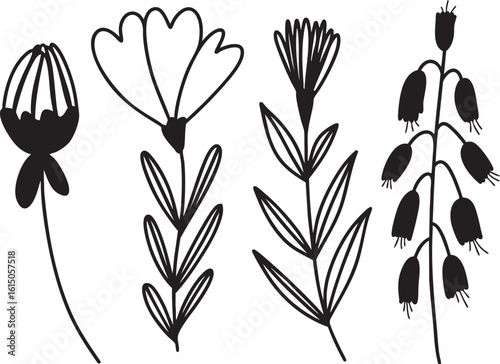 Decorative Plant Line Art – Black and White Vector