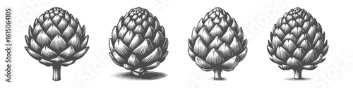 Vintage Hand-Drawn Artichoke Collection Illustration, Thistle Vegetable Scene Engraved Style Vector for T-Shirts and Culinary Garden Themes Design