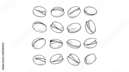 Hand Drawn Pistachio Nuts Vector Illustration for Healthy Snack and Food Design Projects