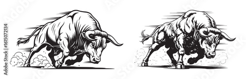 Two angry charging bulls vector illustration