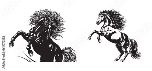 Two majestic rearing stallions vector illustration