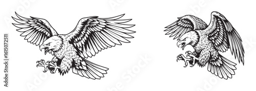 Two fierce attacking eagles vector illustration