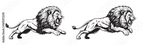 Two leaping roaring lions vector illustration