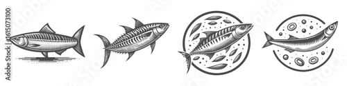 Vintage Hand-Drawn Mackerel Collection Illustration, Marine Fish Engraved Style Vector for T-Shirts and Ocean Themes Design