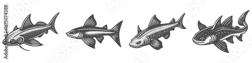 Vintage Hand-Drawn Dogfish Collection Illustration, Marine Fish Engraved Style Vector for T-Shirts and Ocean Themes Design