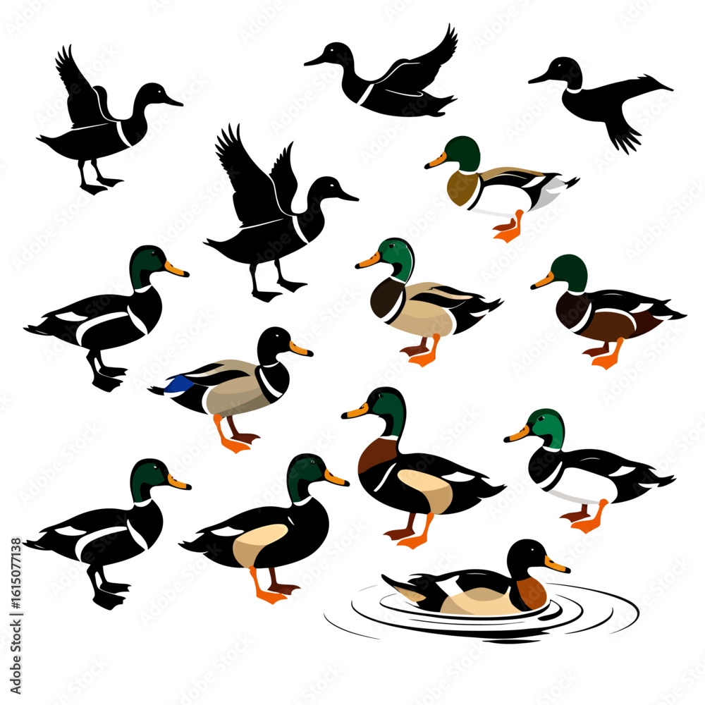 Fototapeta premium set of birds