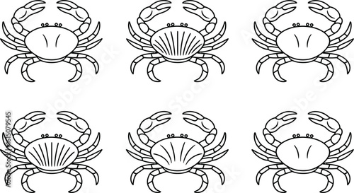 Six Outline Drawings of Crabs Keywords: crab, crustacean, sea, ocean, animal, marine