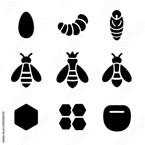 Bee Lifecycle Icons. Solid, filled icon set of bee lifecycle: egg, larva, pupa, adult bee, queen bee, worker bee, drone, honeycomb