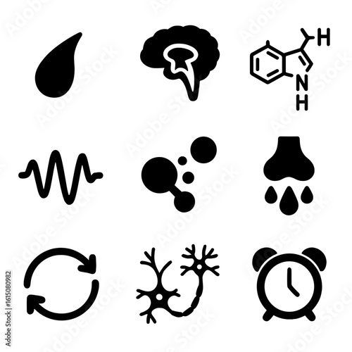 Body Clock Icon Set. Solid, filled icon set of body clock regulation: pineal gland, hypothalamus, melatonin molecule, brain waves,