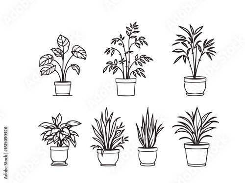 office plant clear vision simple line art