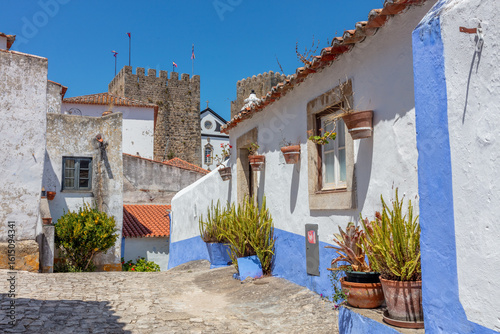 Φωτογραφία Flower Pots on Rustic Wall in Obidos Alley