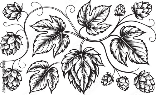Black and white hops and leaves vine pattern botanical floral