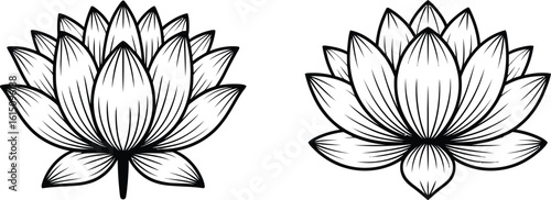 Black and white outline drawings of lotus flowers bloom