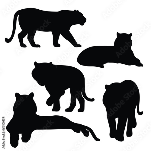 Vector silhouette illustration a collection of tiger silhouettes showcasing various poses and movements
