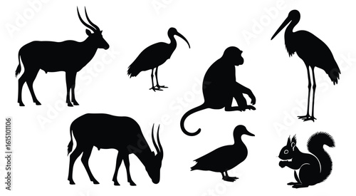 Vector silhouette illustration a variety of animal silhouettes including an ibis, monkey, antelope, and duck