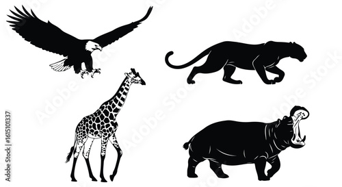 Vector silhouette illustration silhouettes of a bird, jaguar, giraffe, and hippopotamus in a striking composition