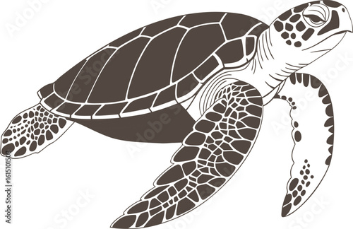 Vibrant vector illustration of a cute sea turtle with a beautiful shell, swimming underwater in its wild ocean nature