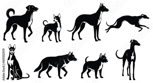 Vector silhouette illustration a collection of dog silhouettes featuring various breeds in different stances